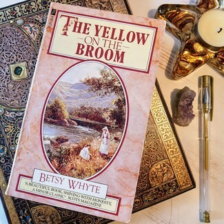 The Yellow on the Broom  front cover 