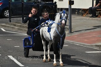 Stockton On Tees charity horse drive (c) ALR Photography