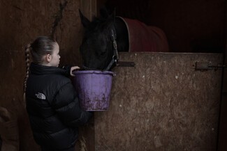young white female holding a purple bucket feeding a brown horse in a stable
