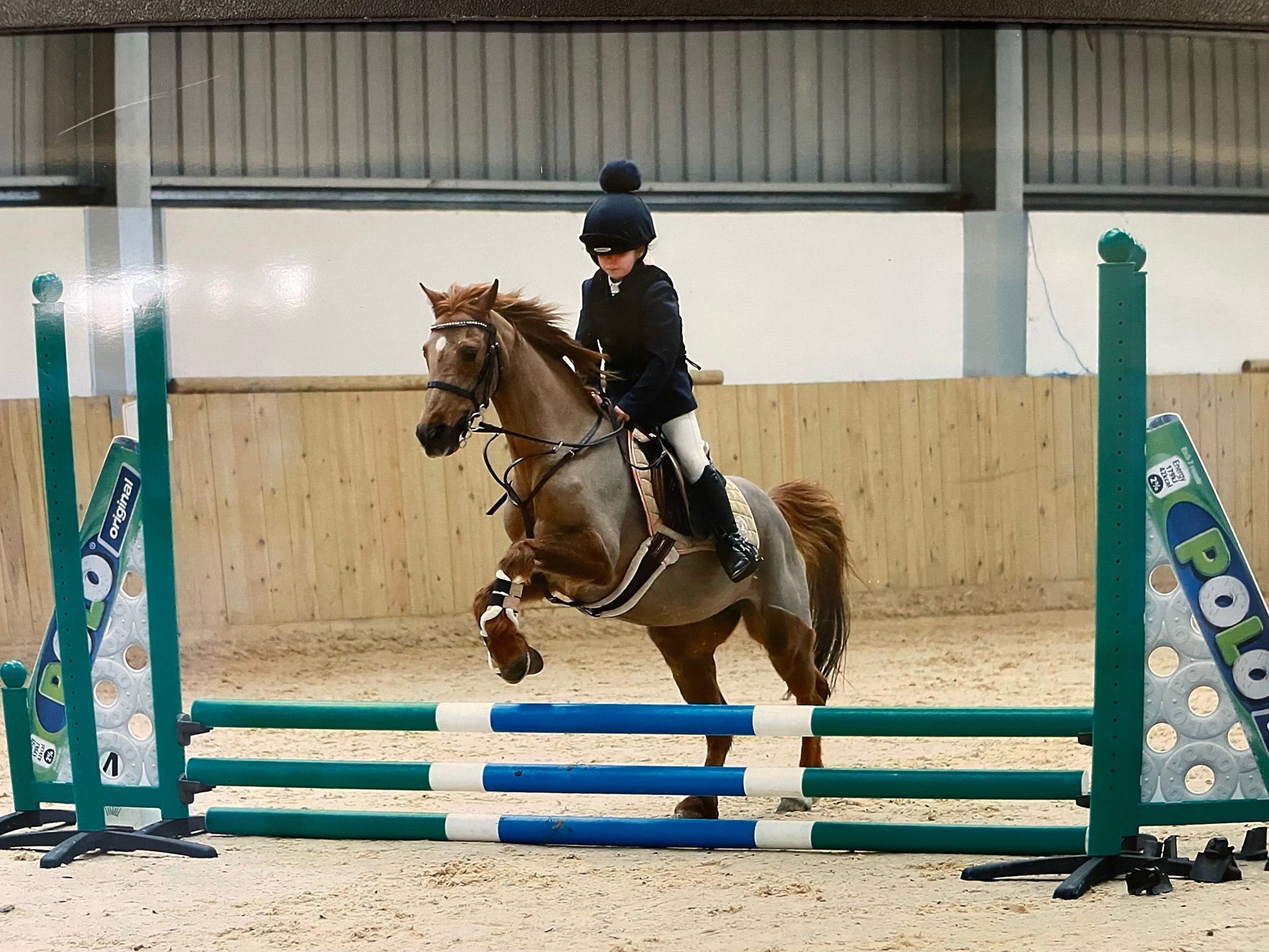 Showjumping