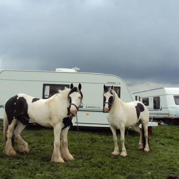 Horses and a caravan