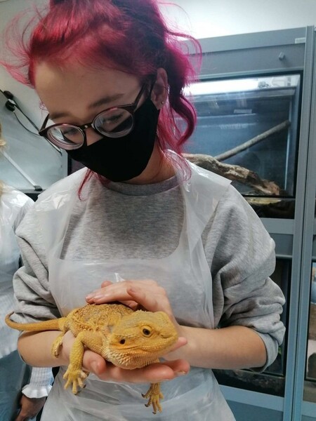 Girl holding a lizard