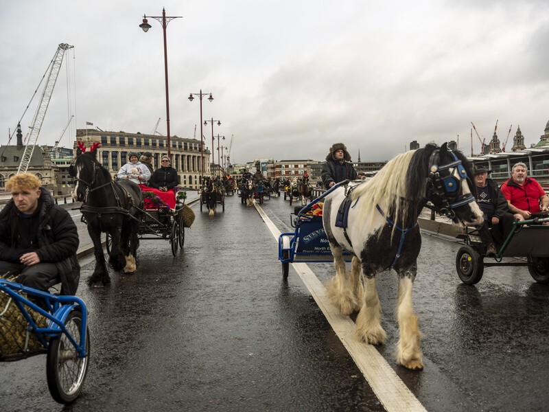 Trot on for the London Christmas Drive 2023
