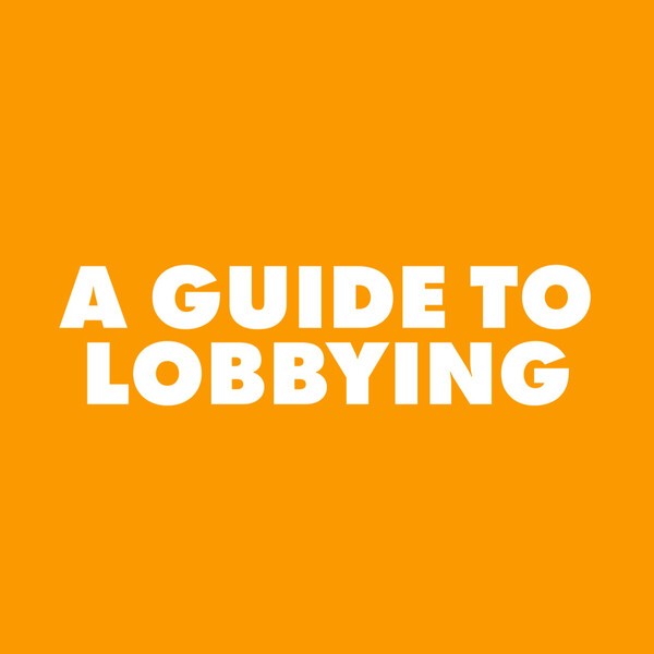 A Guide To Lobbying
