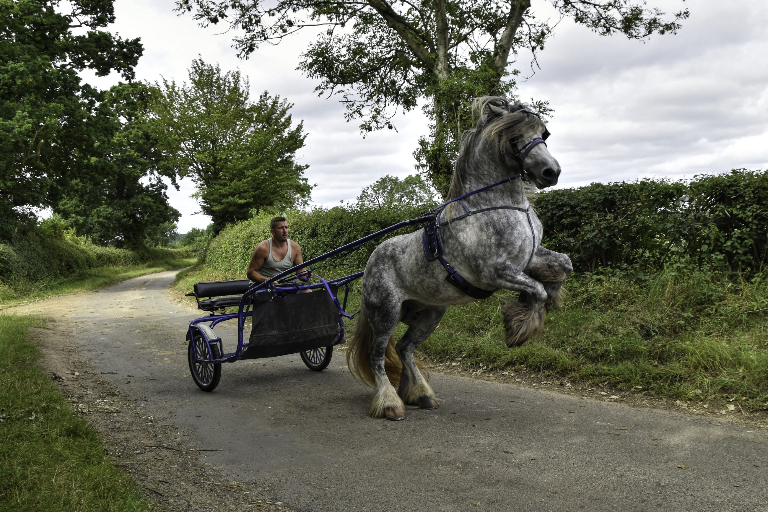 All the fun of the horse fair photo feature Travellers Times