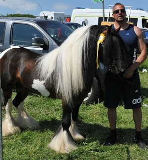 REDWINGS HORSE WELFARE AWARDS BACK AT APPLEBY HORSE FAIR 