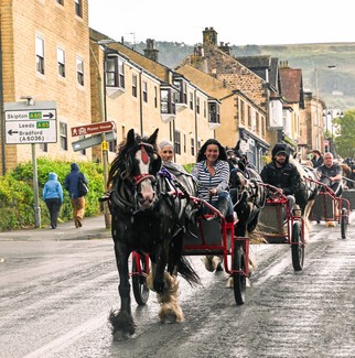 Look back to last year - In memory of Sharkey Lowther