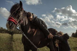 Children’s Wellbeing and Schools Bill in a Nutshell – by Education Otherwise
