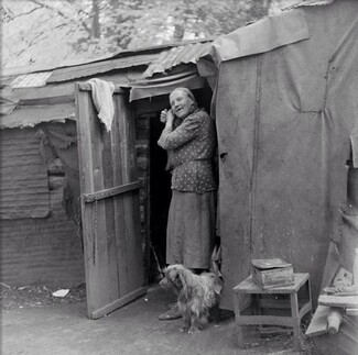 Woman in shed