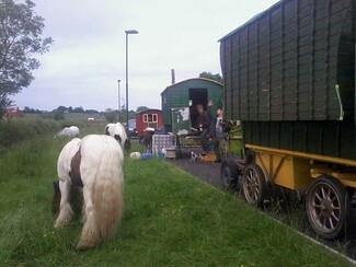 Horse-drawn New Traveller “reassured” by anti-horse tethering campaigners – but concerns remain