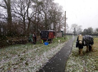 Horse-drawn New Traveller “reassured” by anti-horse tethering campaigners – but concerns remain