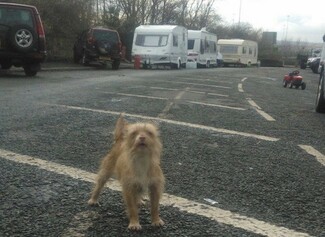 A ‘negotiated stopping’ Traveller site in Leeds