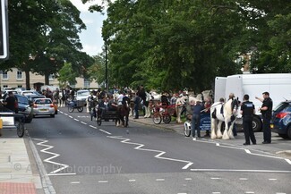 Stockton On Tees charity horse drive (c) ALR Photography