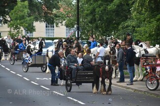 Stockton On Tees charity horse drive (c) ALR Photography