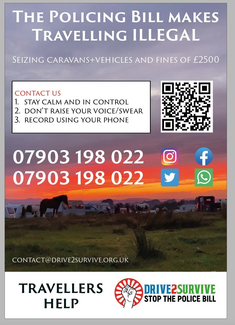 D2S LEAFLET