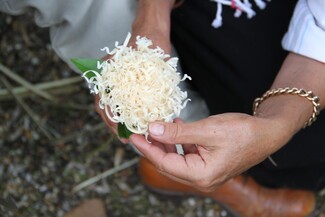 Paperflower making