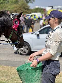 Apache drinking water from Welfare Vet Roxanne