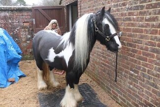 Priscilla Bower -Jake's sister with Horse Winnie - who has been the model for Jake's inspired piece