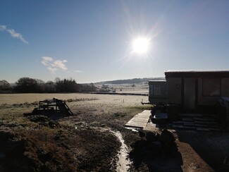 Ball's Paddock (c) William Ward