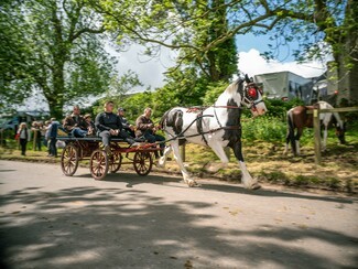 Appleby Fair (c) Bela Varadi