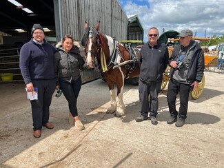 Best in Harness winner Paddy with owners Liam and Hannah and judges Master harness makers Chris Taylor and Laurence Peerman