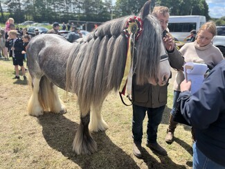 Vet's Champion and Best at Appleby winner Grace with owner Scott