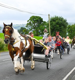 Horses pulling yokes