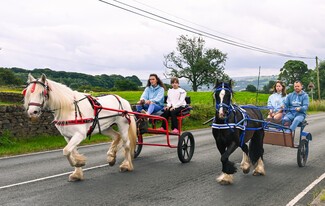 Horses pulling yokes