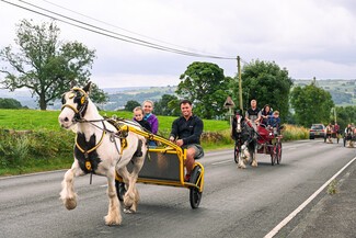 Horses pulling yokes