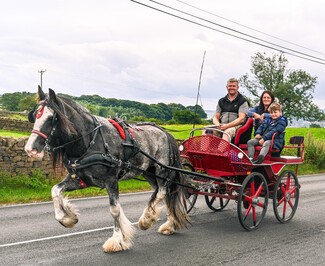 Horse pulling yoke