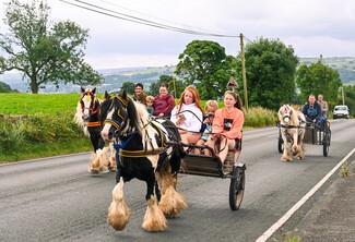 Horses pulling yokes