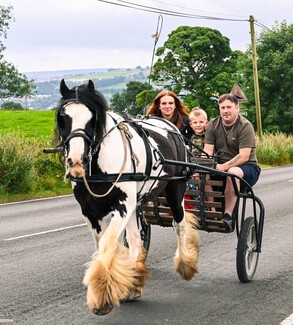 Horse pulling yoke