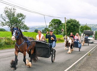 Horses pulling yokes