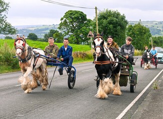 Horses pulling yokes