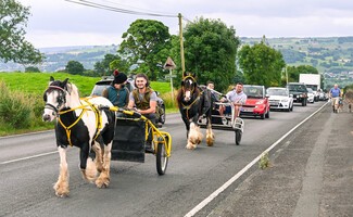 Horses pulling yokes