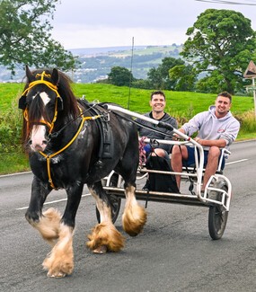 Horse pulling yoke