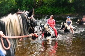 Horses and people in the river