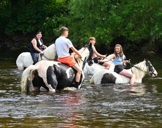 Horses and people in the river