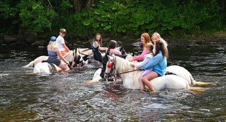 Horses and people in the river