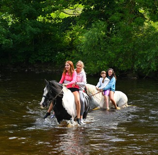 Horses and people in the river