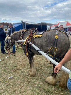 Lee Gap Fair