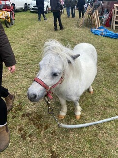 Lee Gap Fair